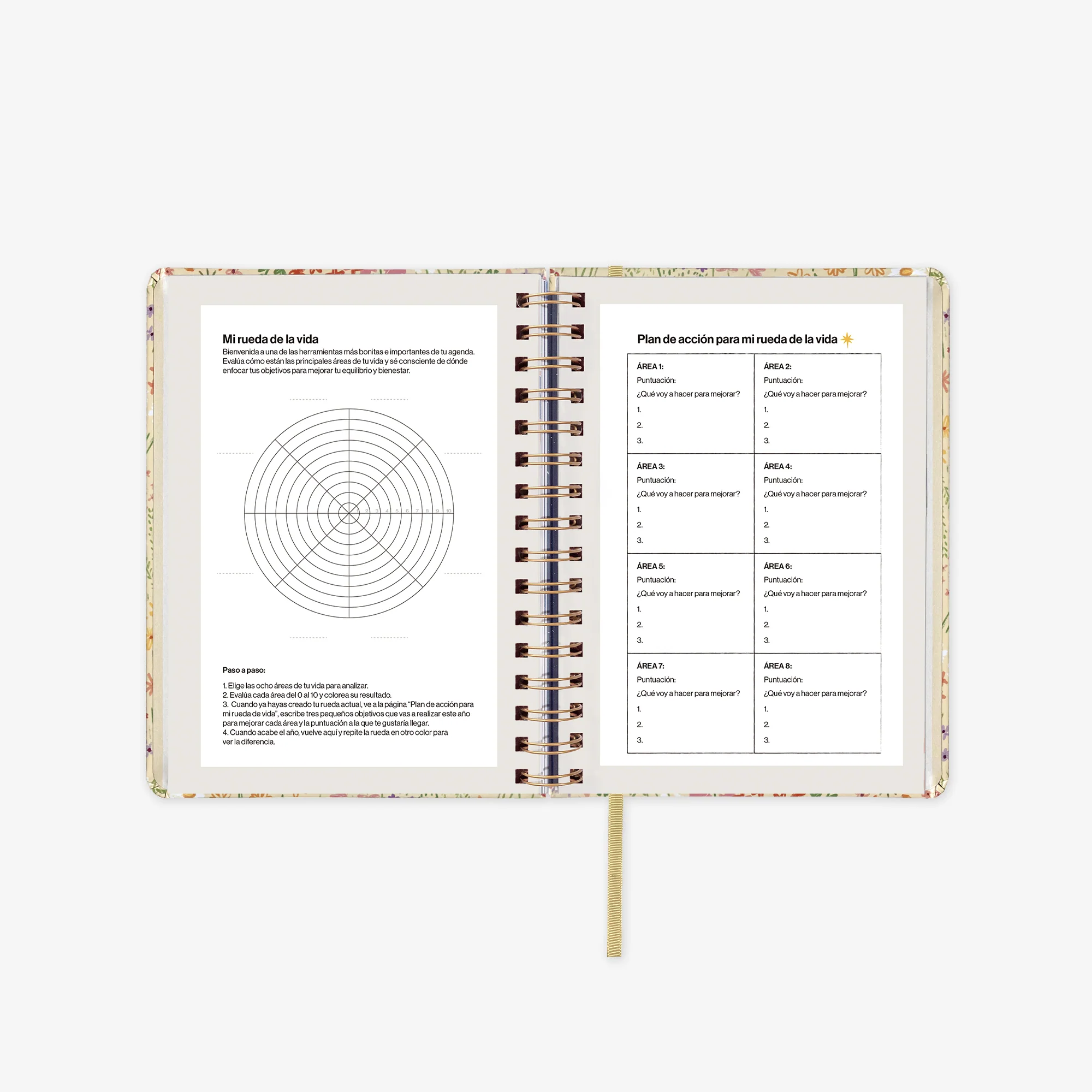 Imagen del producto 12