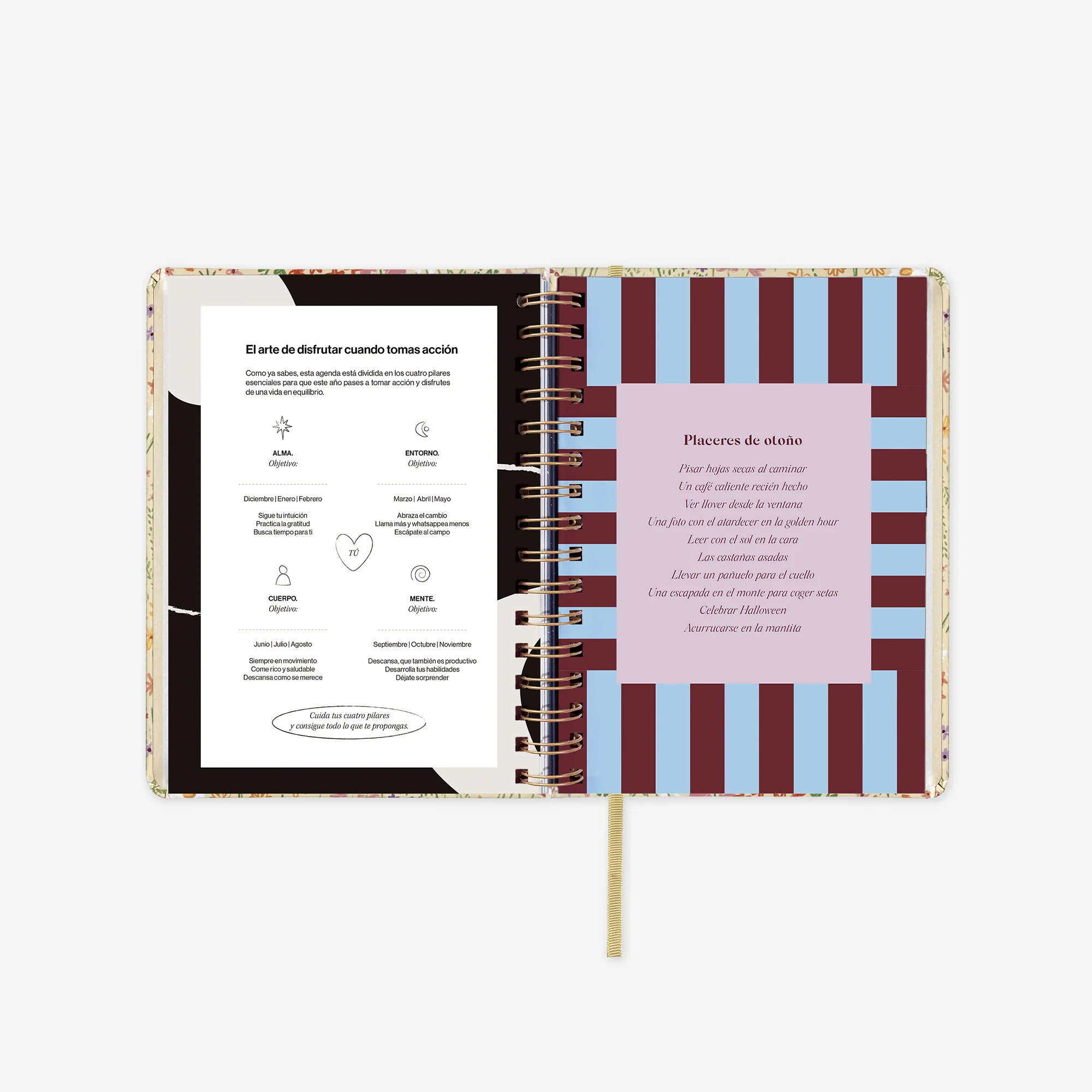 Imagen del producto 13