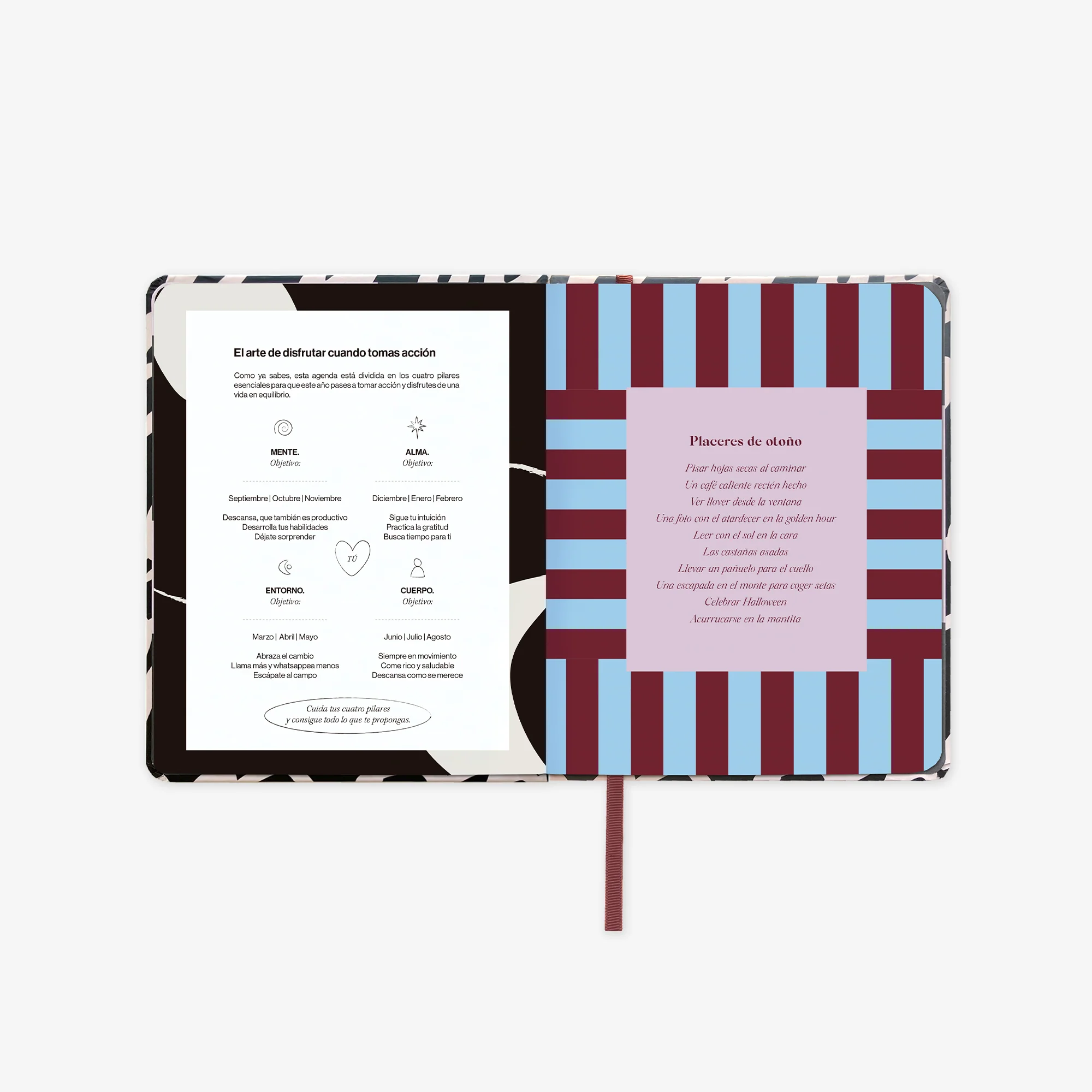 Imagen del producto 13