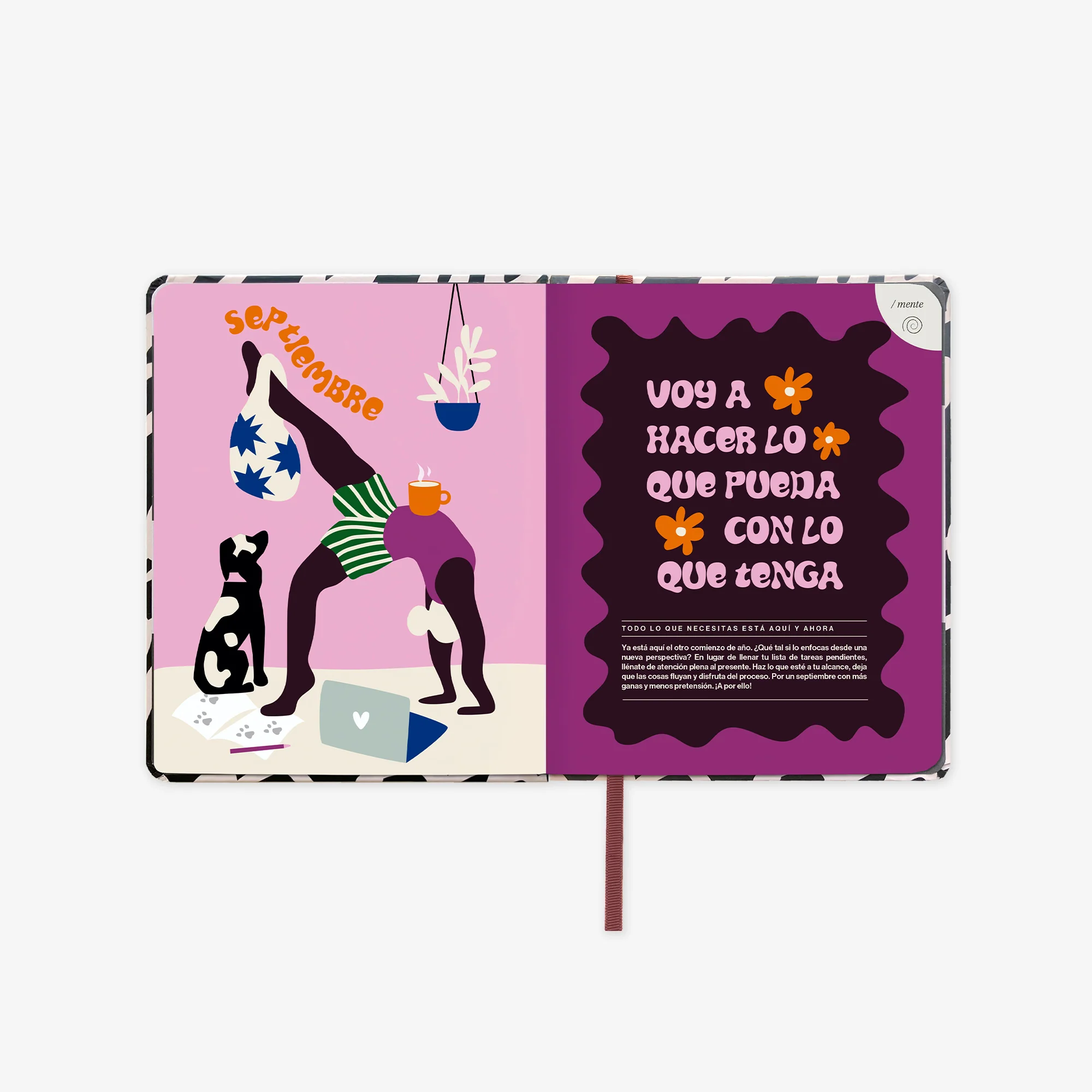 Imagen del producto 14