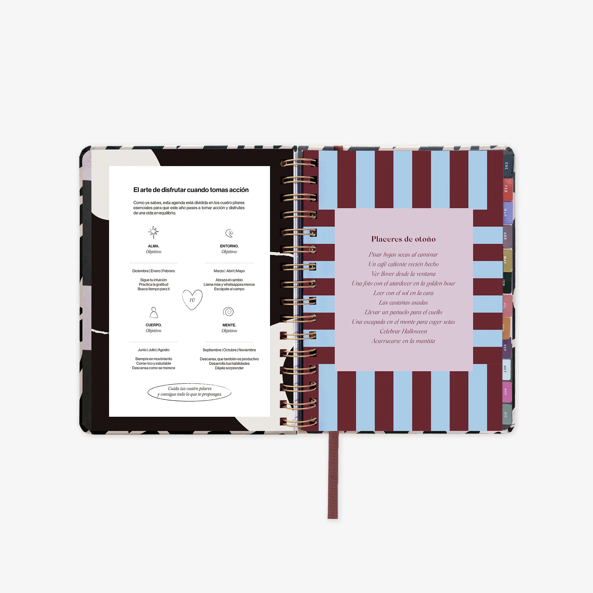 Imagen del producto 15