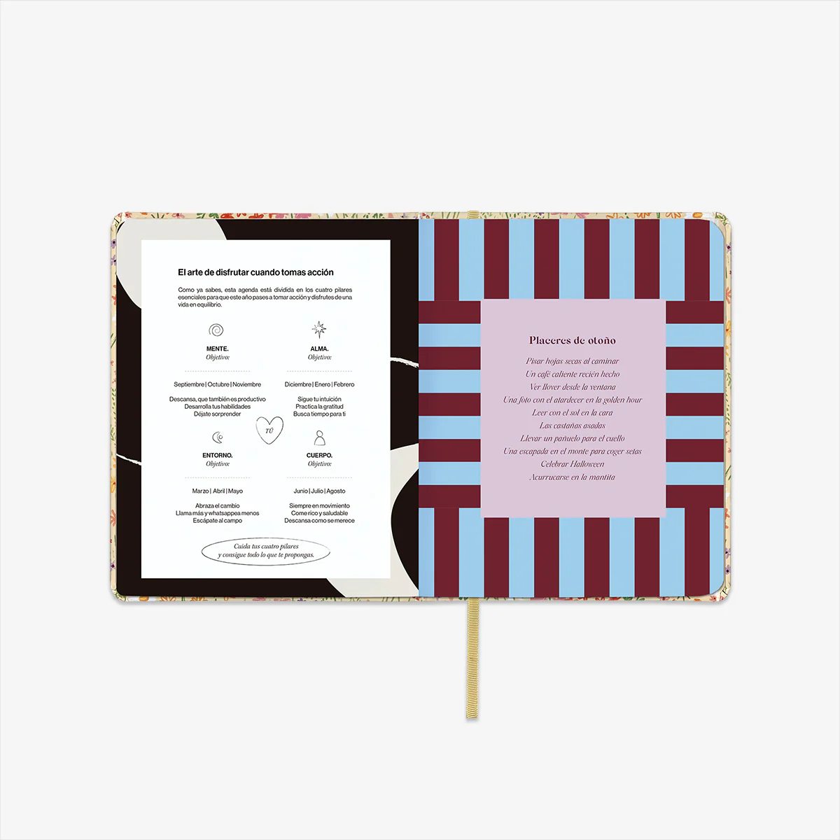 Imagen del producto 11