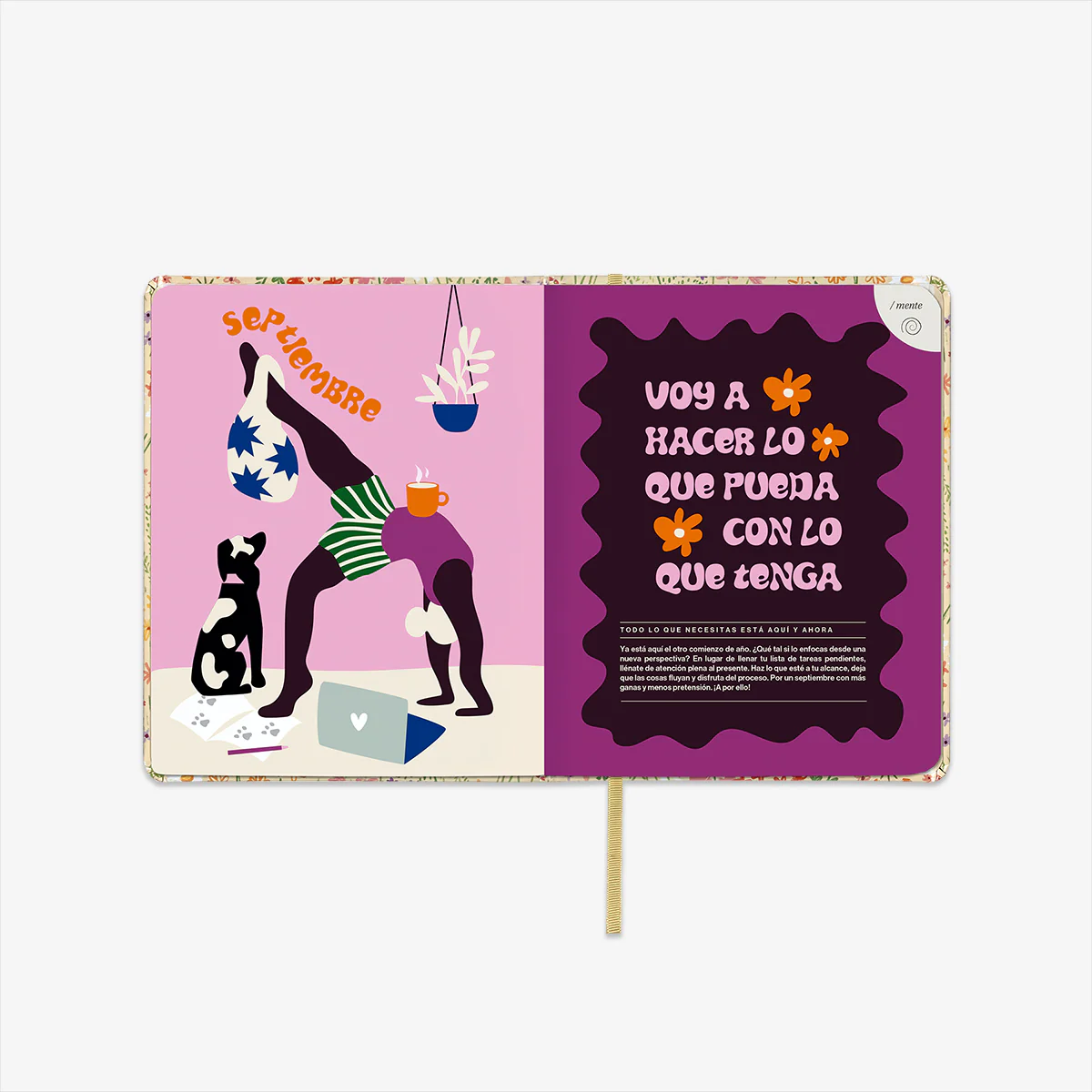 Imagen del producto 12