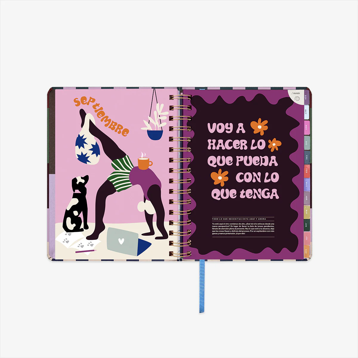 Imagen del producto 14