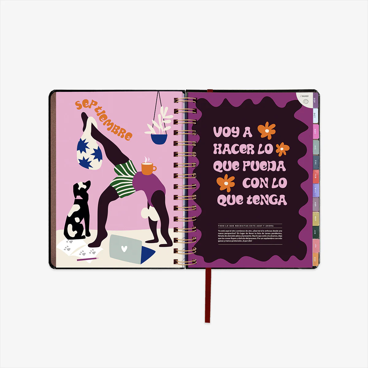 Imagen del producto 15