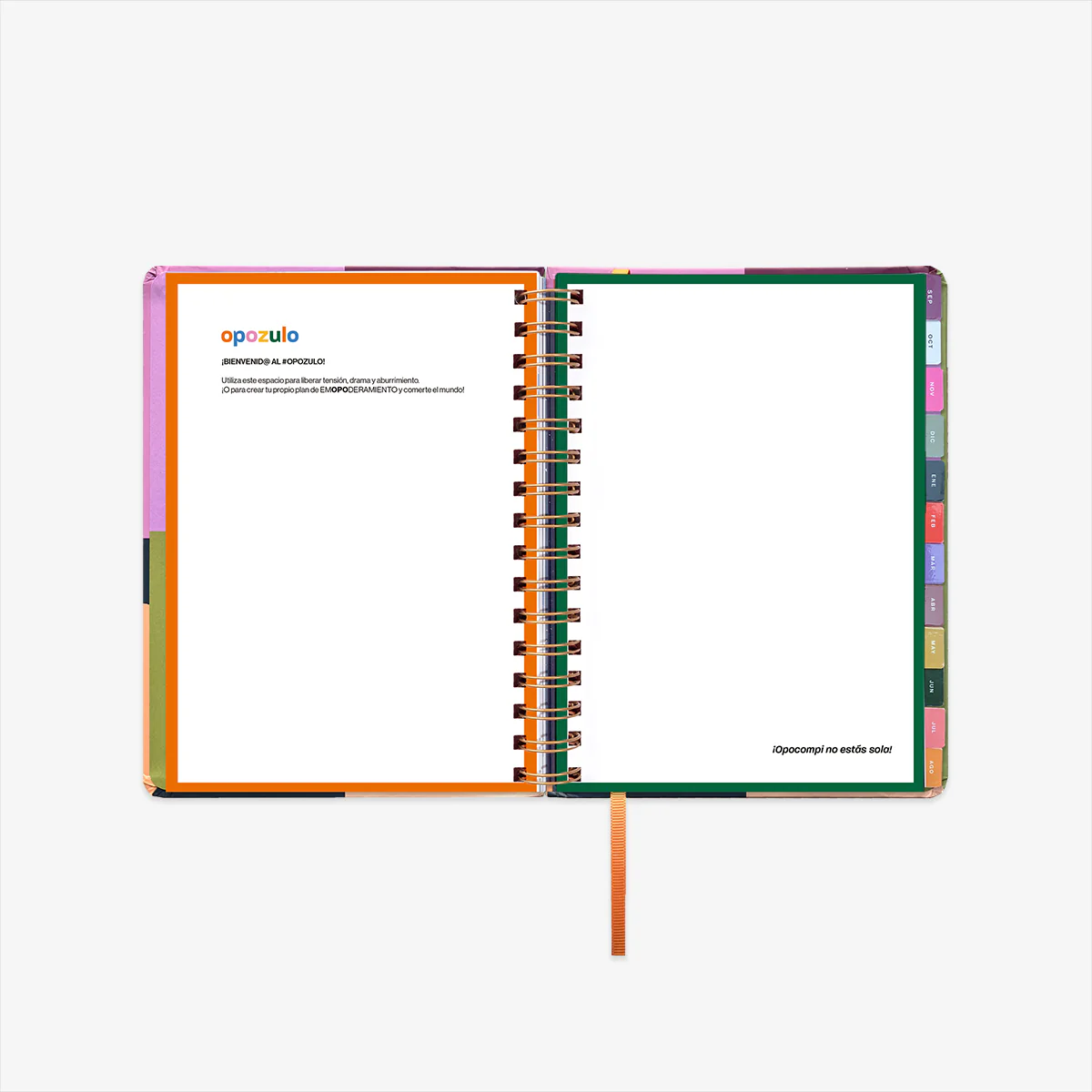 Imagen del producto 12