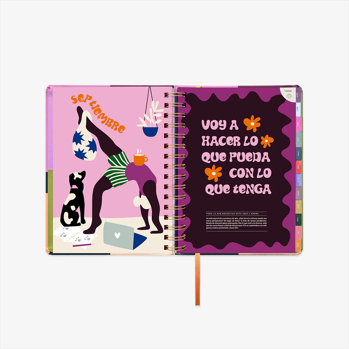 Imagen del producto 13