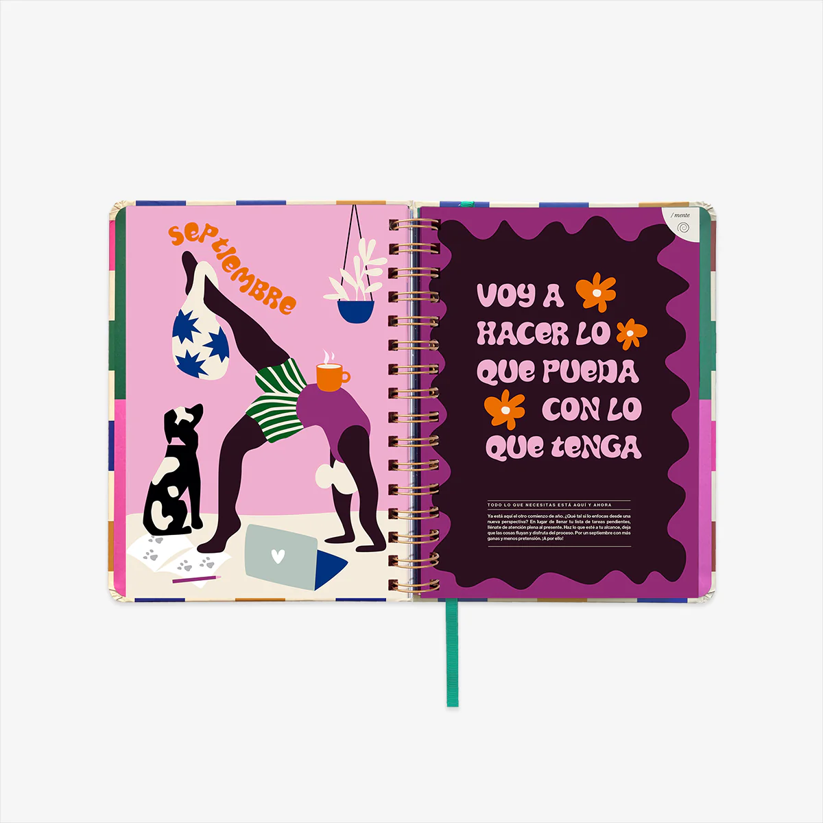 Imagen del producto 12