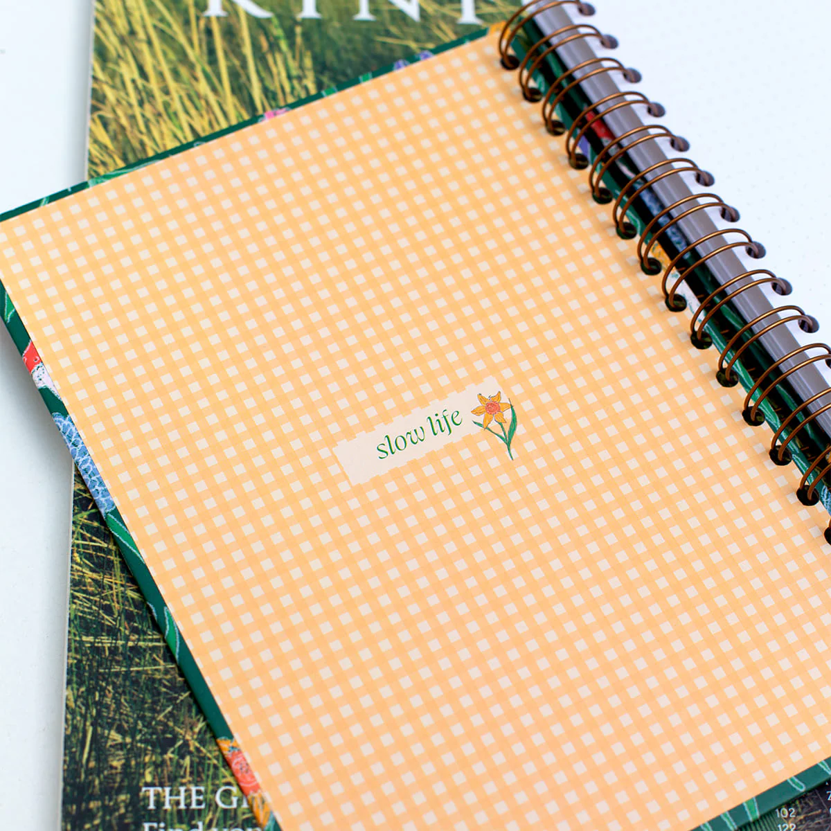 Imagen del producto 10