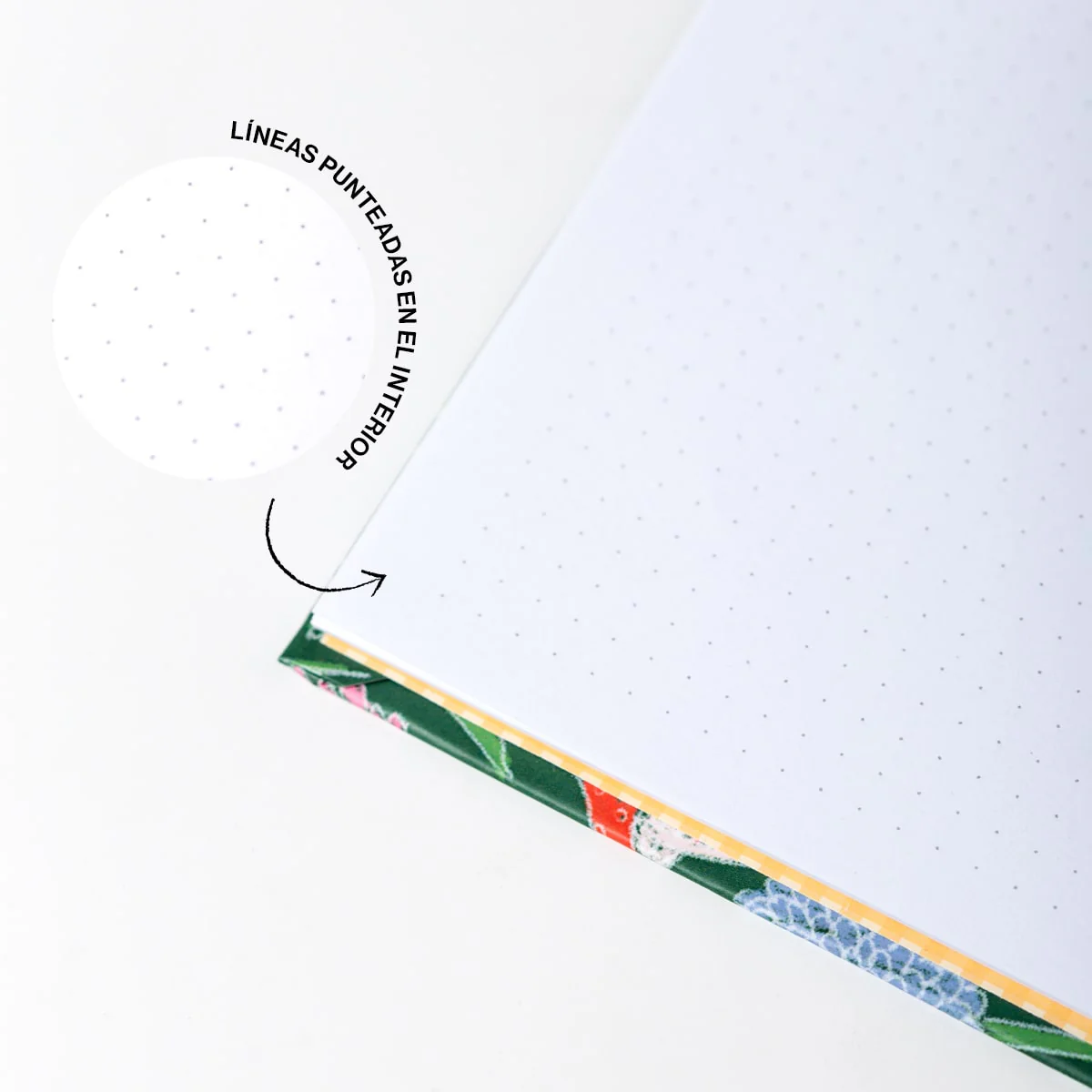 Imagen del producto 11