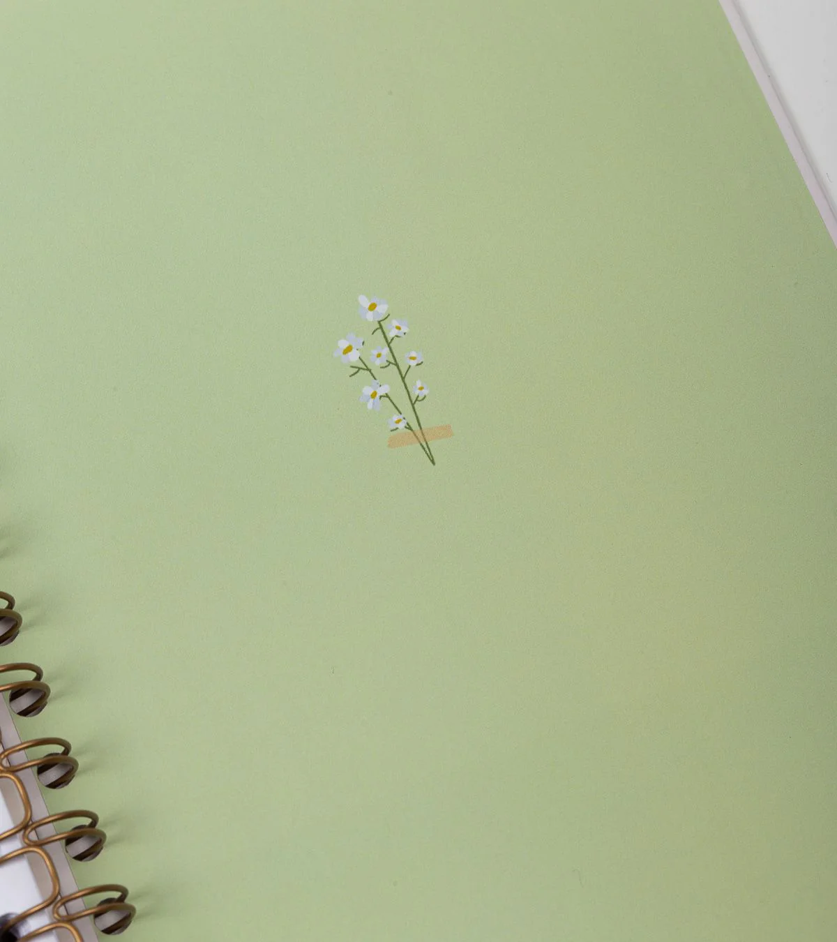 Imagen del producto 10