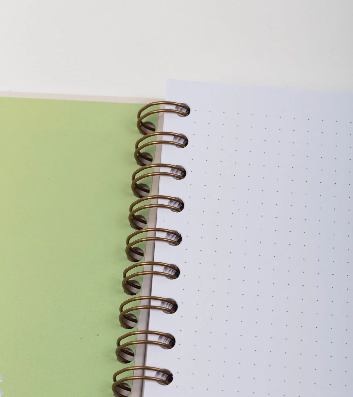 Imagen del producto 12