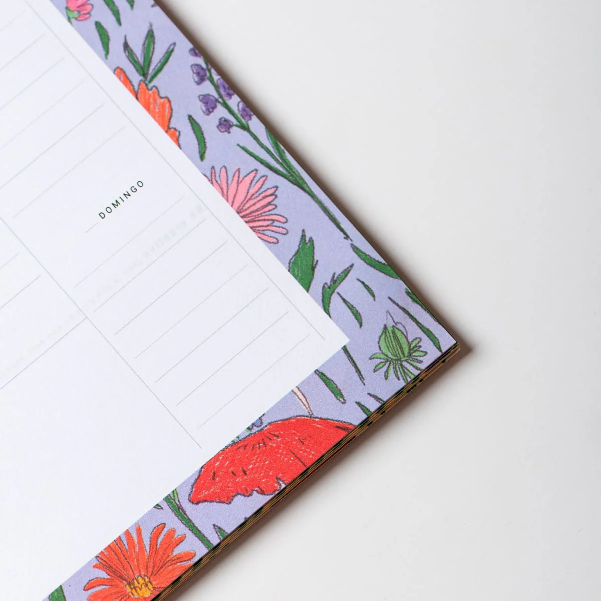 Imagen del producto 8