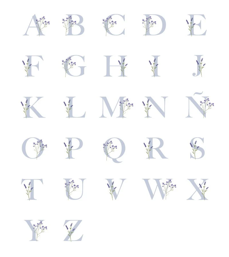 Imagen del producto 7