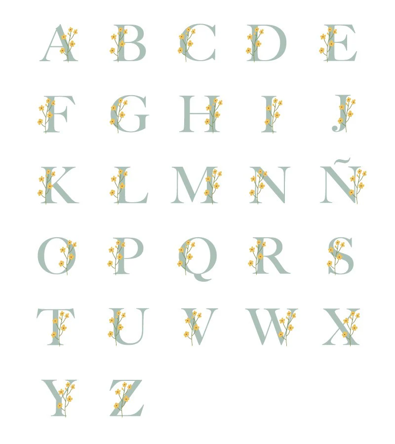 Imagen del producto 8